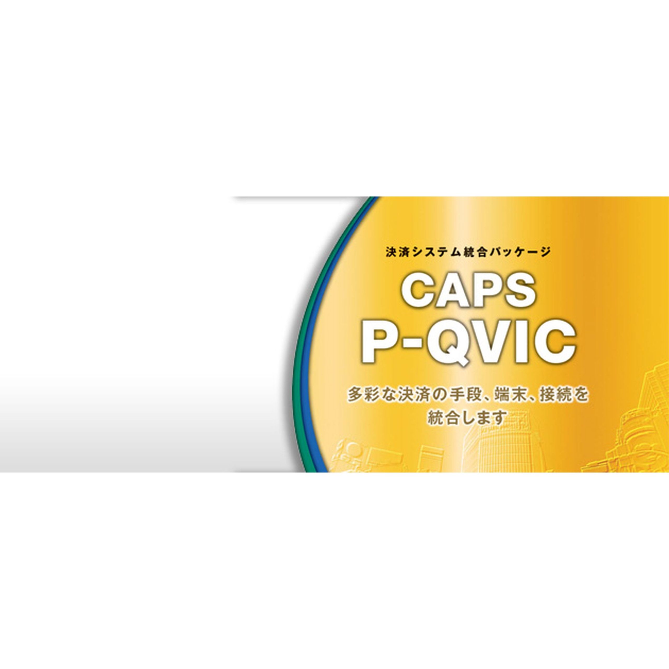 決済システム統合パッケージ CAPS P-QVIC