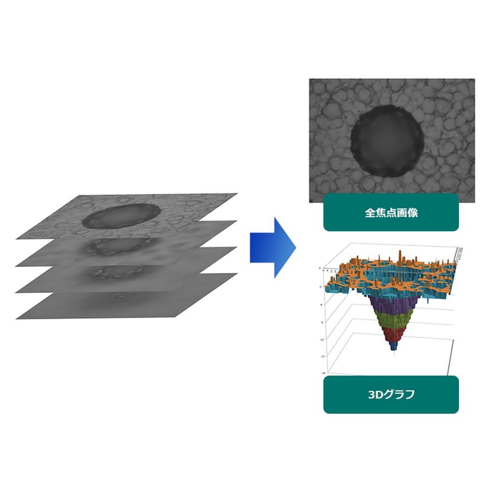 画像処理・外観検査　技術